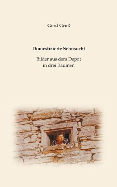 Cover for Gerd Groß · Domestizierte Sehnsucht : Bilder aus dem Depot in drei Räumen (Paperback Book) (2021)