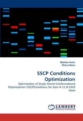 Sscp Conditions Optimization: Optimization of Single Strand Conformational Polymorphism (Sscp)conditions for Exon 4-12 of Ldlr Gene - Khizra Bano - Books - LAP LAMBERT Academic Publishing - 9783843372978 - November 10, 2010