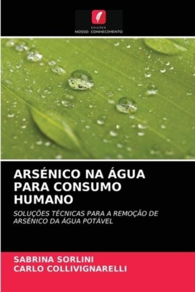 Cover for Sabrina Sorlini · Arsenico Na Agua Para Consumo Humano (Paperback Book) (2021)