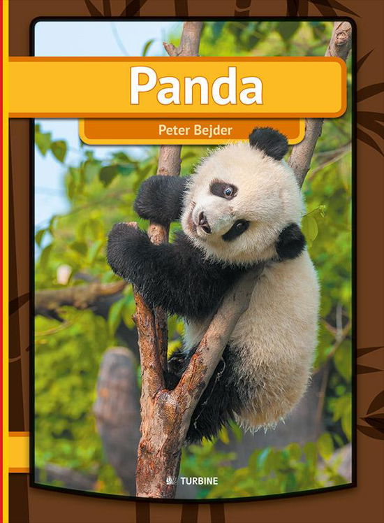 Cover for Peter Bejder · Mein erstes Buch: Panda (Tysk) (Poketbok) [1:a utgåva] (2015)