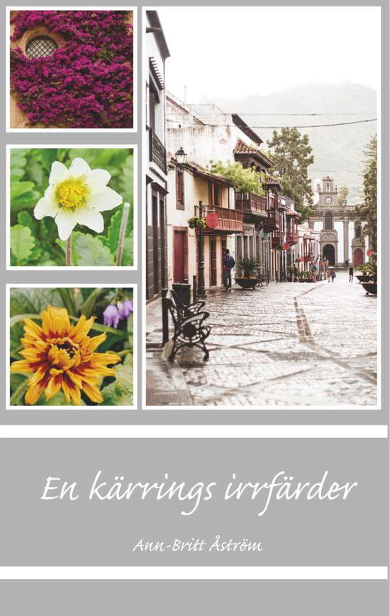 Cover for Ann-Britt Åström · En kärrings irrfärder (Hardcover Book) (2019)