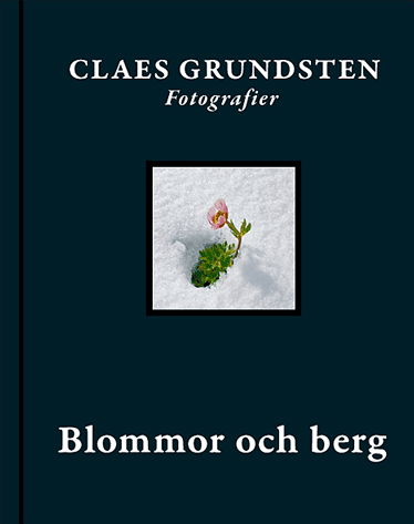 Blommor och berg - Claes Grundsten - Kirjat - Hammar Förlag - 9789185786978 - tiistai 30. lokakuuta 2007