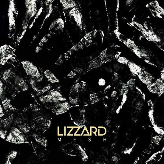 Cover for Lizzard · Mesh (LP) (2024)