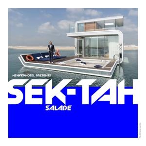 Cover for Sek-Tah · Salade / Lange Messen (LP) (2022)