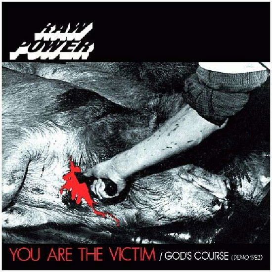 Cover for Raw Power · You Are the Victim / God's (CD) (2013)