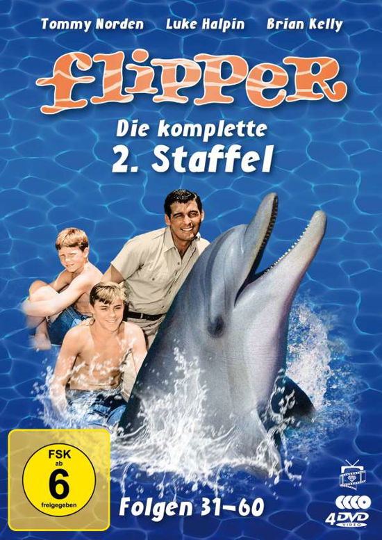 Flipper-die Komplette 2.staffel (4 Dvds) (Ferns - Kelly,brian / Norden,tommy - Elokuva - Alive Bild - 4042564211979 - perjantai 5. maaliskuuta 2021