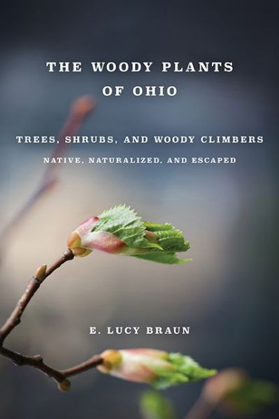 Cover for E. Lucy Braun · Woody Plants of Ohio: Trees, Shrubs and Woody Climbers Native, (Paperback Book) (1989)