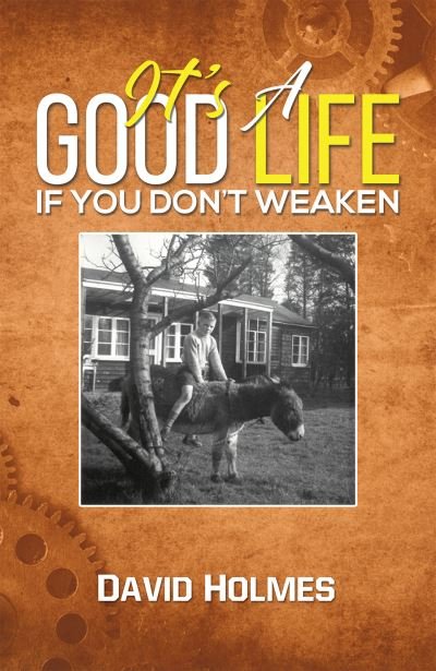 Cover for David Holmes · It's a Good Life If You Don't Weaken (Pocketbok) (2024)