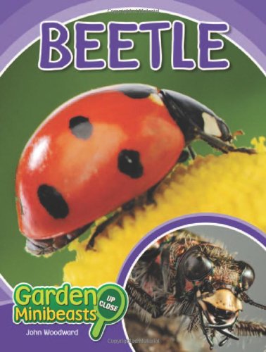 Cover for John Woodward · Beetle (Garden Minibeasts Up Close) (Hardcover Book) (2010)