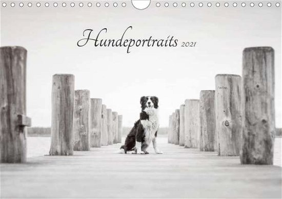 Cover for Pohle · Hundeportraits 2021 (Wandkalender (Bog)