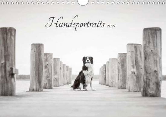 Cover for Pohle · Hundeportraits 2021 (Wandkalender (Book)