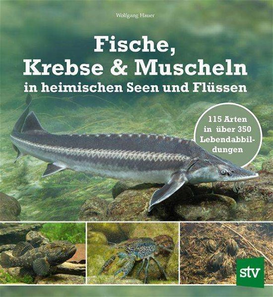 Cover for Hauer · Fische, Krebse &amp; Muscheln in heim (Bok)