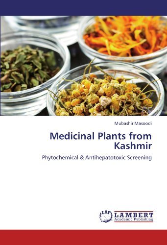 Cover for Mubashir Masoodi · Medicinal Plants from Kashmir: Phytochemical &amp; Antihepatotoxic Screening (Paperback Bog) (2012)