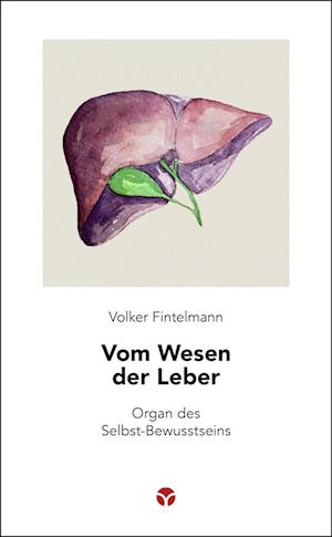 Vom Wesen der Leber - Fintelmann Volker - Books - Info 3 - 9783957791979 - March 6, 2024