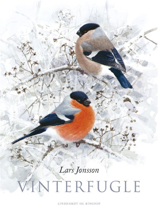 Cover for Lars Jonsson · Vinterfugle (Innbunden bok) [1. utgave] (2016)