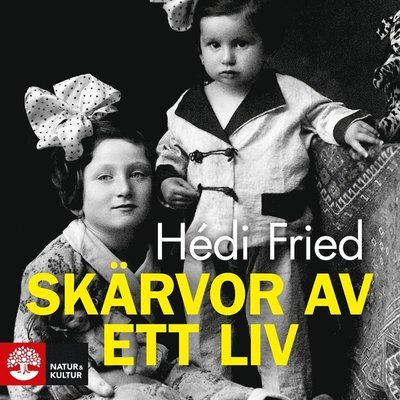 Cover for Hédi Fried · Skärvor av ett liv : vägen till och från Auschwitz (Hörbok (MP3)) (2018)