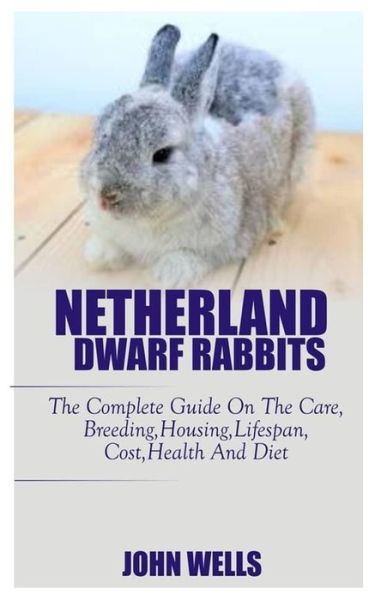 Cover for John Wells · Netherlands Dwarf Rabbits (Paperback Book) (2020)