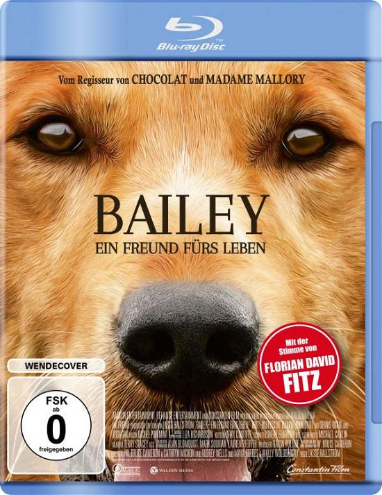 Cover for Britt Robertson,k.j.apa,dennis Quaid · Bailey-ein Freund Fürs Leben (Blu-ray) (2017)