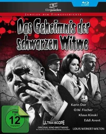 Das Geheimnis Der Schwarzen Wi - Franz Josef Gottlieb - Movies - FILMJUWELEN - 4042564156980 - March 20, 2015