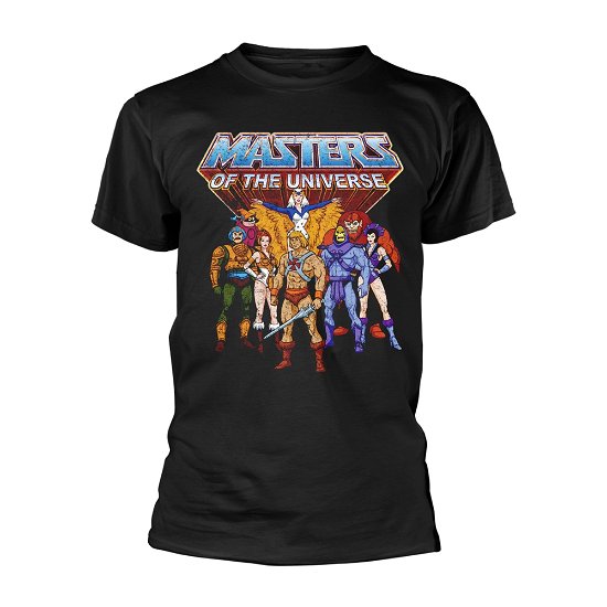 Cover for Masters of the Universe · Group Distressed (T-shirt) [size XL] (2022)