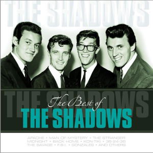 Best Of - Shadows - Muziek - VINYL PASSION - 8712177059980 - 24 mei 2012