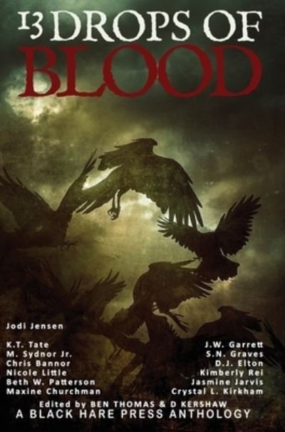 Cover for Jodi Jensen · 13 Drops of Blood (Hardcover Book) (2021)