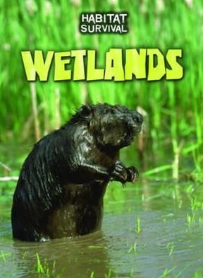 Cover for Buffy Silverman · Wetlands (Inbunden Bok) (2012)