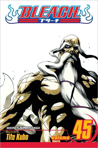 Bleach, Vol. 45 - Bleach - Tite Kubo - Books - Viz Media, Subs. of Shogakukan Inc - 9781421542980 - August 16, 2012