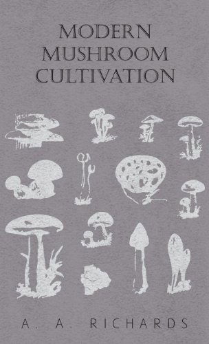 Modern Mushroom Cultivation - A. A. Richards - Books - Williams Press - 9781446503980 - October 15, 2000