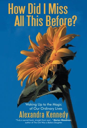 Cover for Alexandra Kennedy · How Did I Miss All This Before?: Waking Up to the Magic of Our Ordinary Lives (Paperback Book) (2010)