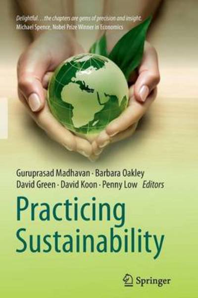 Cover for Madhavan  Guru · Practicing Sustainability (Paperback Bog) [2013 edition] (2014)