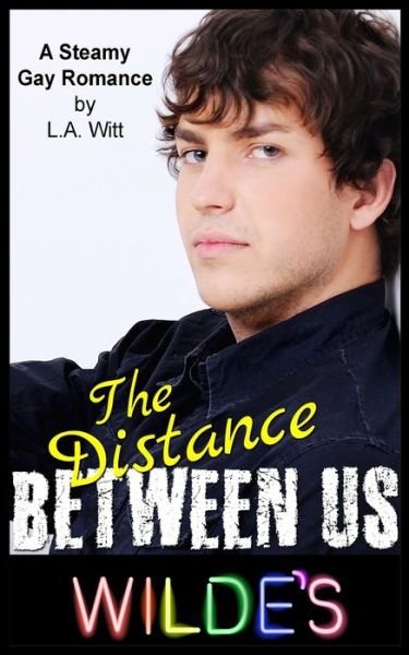 Cover for L. A. Witt · The Distance Between Us (Taschenbuch) (2017)
