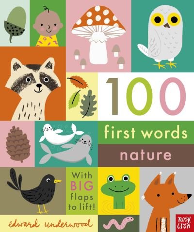 100 First Words: Nature - 100 First Words - Edward Underwood - Livros - Nosy Crow Ltd - 9781788009980 - 5 de maio de 2022