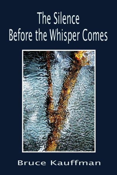 Cover for Bruce Kauffman · The Silence Before the Whisper Comes (Paperback Book) (2013)