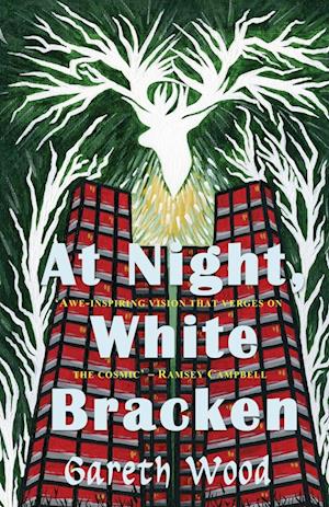 At Night White Bracken (Paperback Book) (2024)