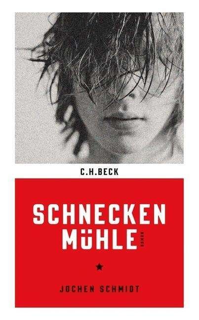 Cover for Schmidt · Das geheime Leben der Fliegen (Book) (2023)