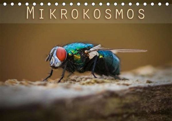 Mikrokosmos (Tischkalender 2021 DI - Will - Kirjat -  - 9783672094980 - 