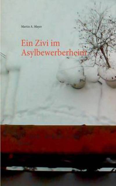 Cover for Mayer · Ein Zivi im Asylbewerberheim (Bog) (2017)