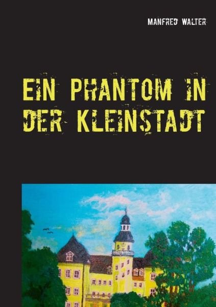 Ein Phantom in der Kleinstadt - Walter - Bücher -  - 9783751955980 - 29. Juni 2020