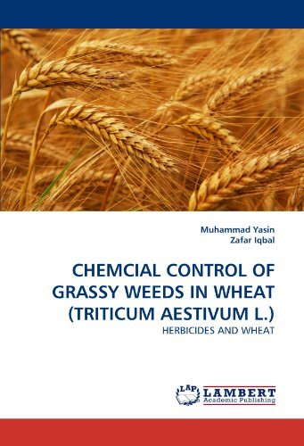 Cover for Zafar Iqbal · Chemcial Control of Grassy Weeds in Wheat (Triticum Aestivum L.): Herbicides and Wheat (Pocketbok) (2011)