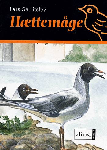 Cover for Lars Serritslev · Fuglebøgerne.: Fuglekassen Hættemåge, Hæfte (Sewn Spine Book) [1. wydanie] (2004)