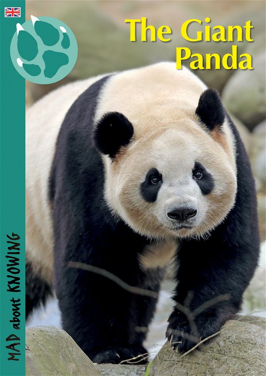 Cover for Bengt Holst · Mad about Knowing: The Giant Panda (Sewn Spine Book) (2019)