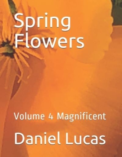 Cover for Daniel Lucas · Spring Flowers: Volume 4 Magnificent (Paperback Book) (2021)