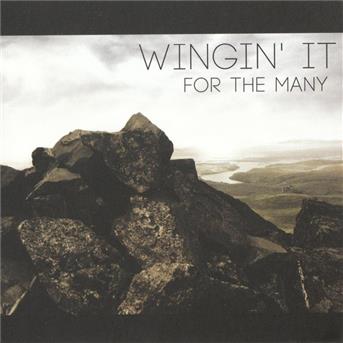 Cover for Wingin It · For The Many (CD) (2013)