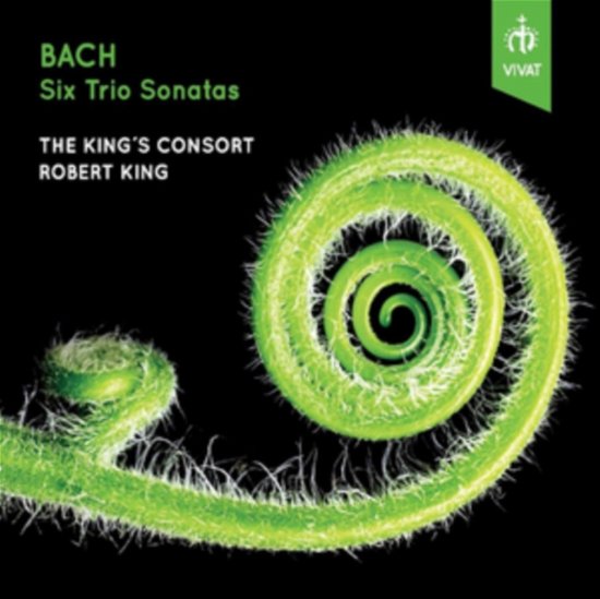 Cover for King's Consort · Bach: Six Trio Sonatas (CD) (2023)