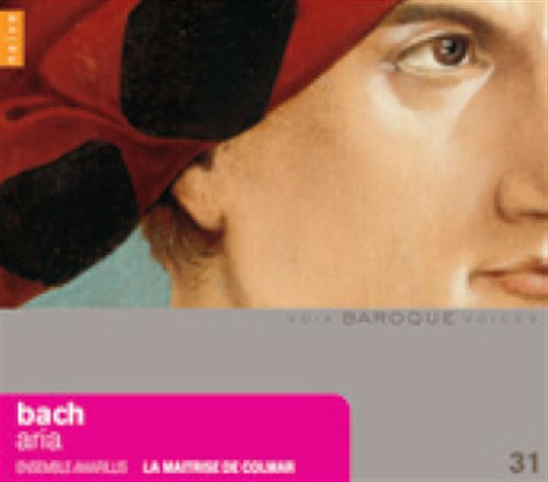 Arias - Bach,j.s. / Amarillis Ensemble / Maitrise Colmar - Música - AMBROISIE - 0822186001981 - 29 de junho de 2010