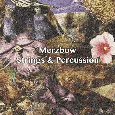Cover for Merzbow · Strings &amp; Percussion (CD) [Japan Import edition] (2019)