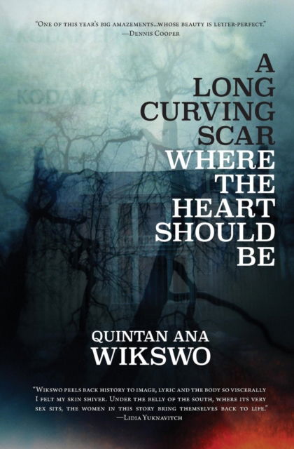 Cover for Quintan Ana Wikswo · Long Curving Scar Where the Heart Should Be (Buch) (2017)