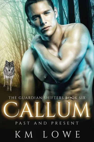Cover for KM Lowe · Callum Past And Present (Pocketbok) (2019)