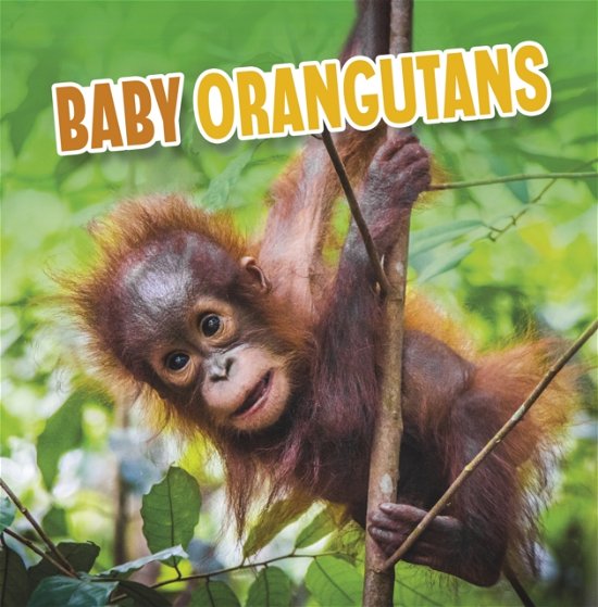 Martha E. H. Rustad · Baby Orangutans - Baby Animals (Pocketbok) (2023)